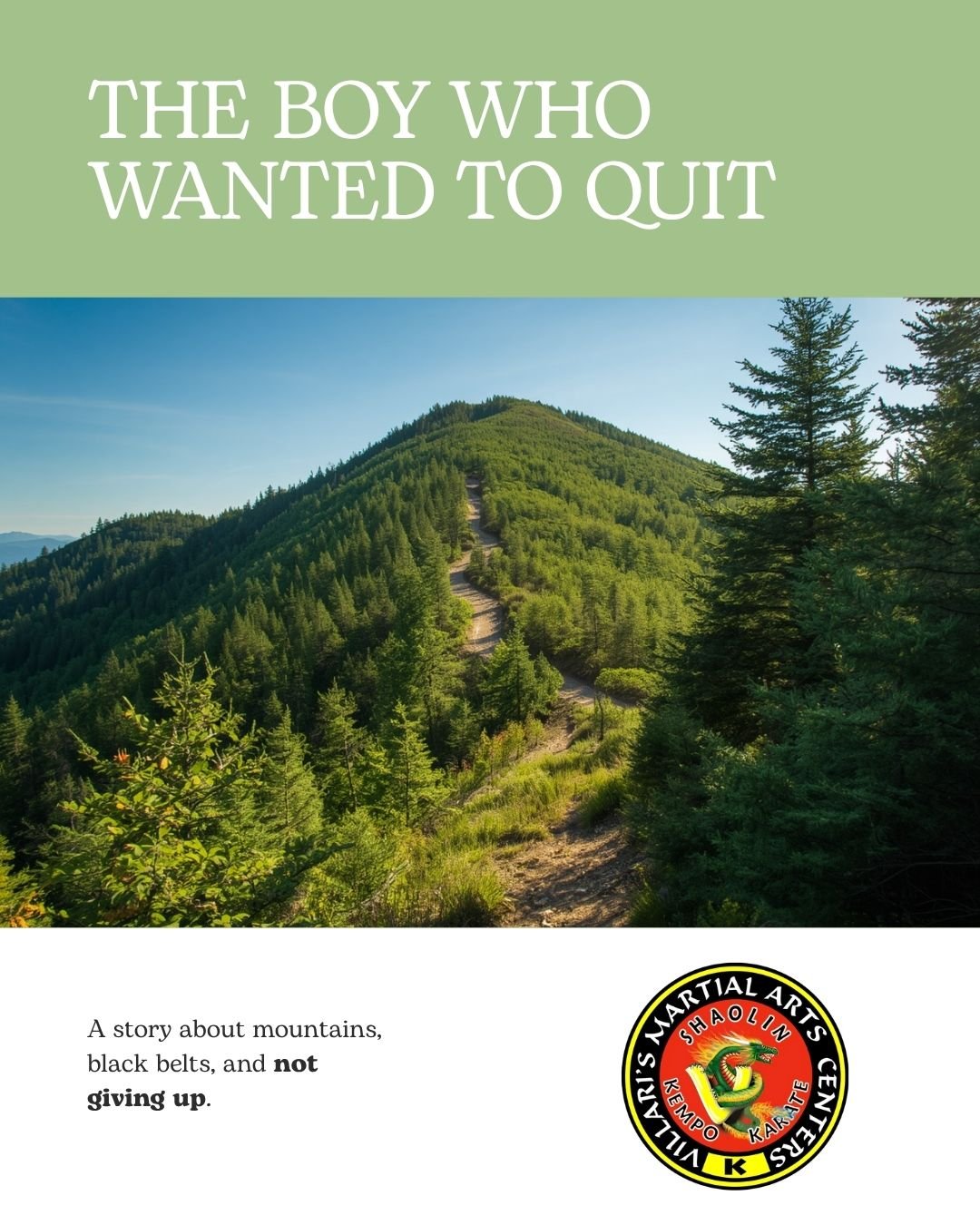 The Boy Who Wanted to Quit